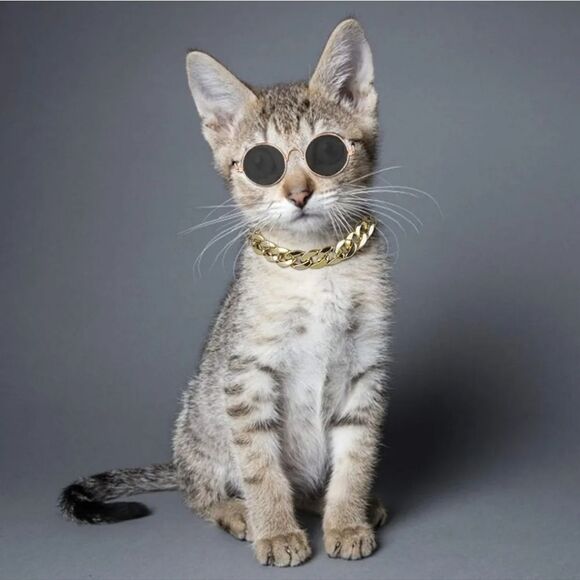 📷🔹️🐈‍⬛Gold Time Chain & Sunglasses Cat/Dog Set - Picture 5 of 9
